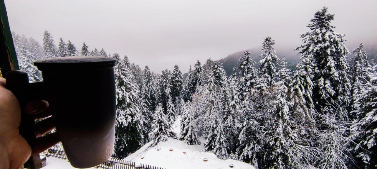 La Cabane De Marie La Bollène-Vésubie Esterno foto
