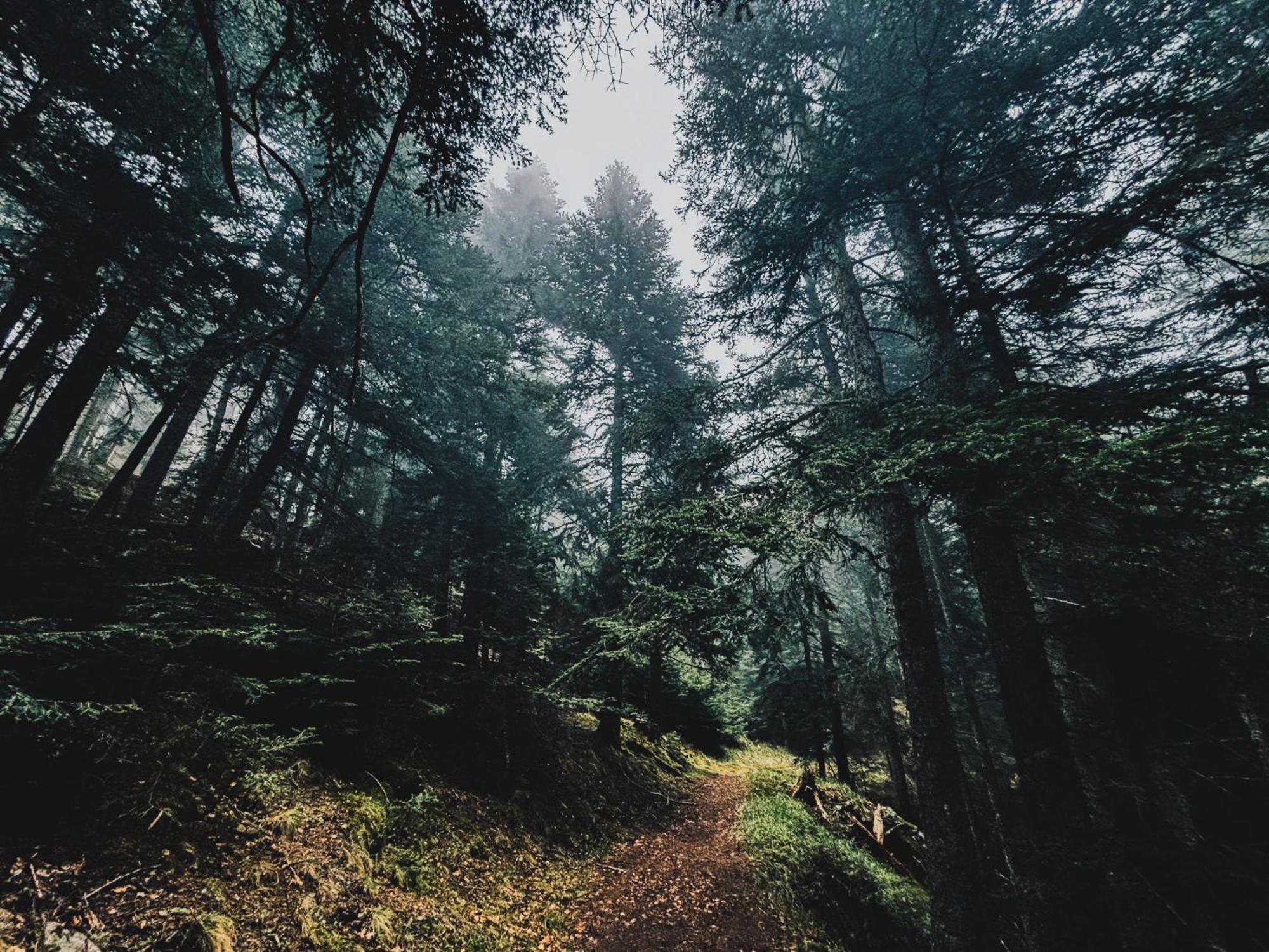 La Cabane De Marie La Bollène-Vésubie Esterno foto